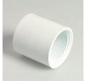 White socket, female thread 2"